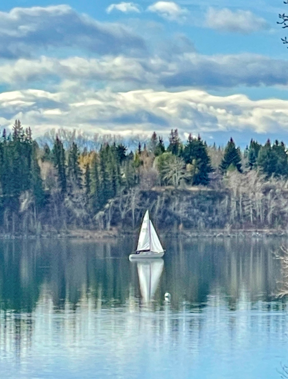 Glenmore Reservoir, sailboat, viewer Nancy